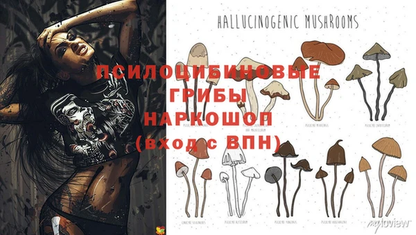 хмурый Алзамай