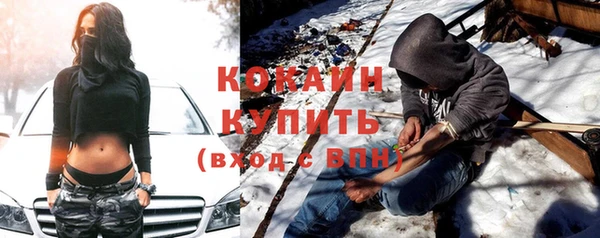 хмурый Алзамай