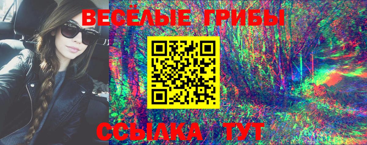 Галлюциногенные грибы Psilocybine cubensis Новошахтинск